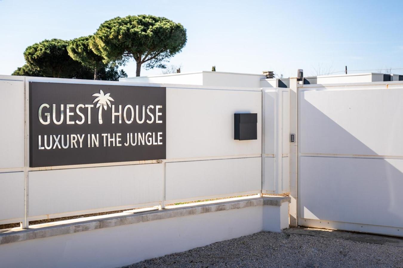 Luxury In The Jungle Villa Formello Exteriör bild