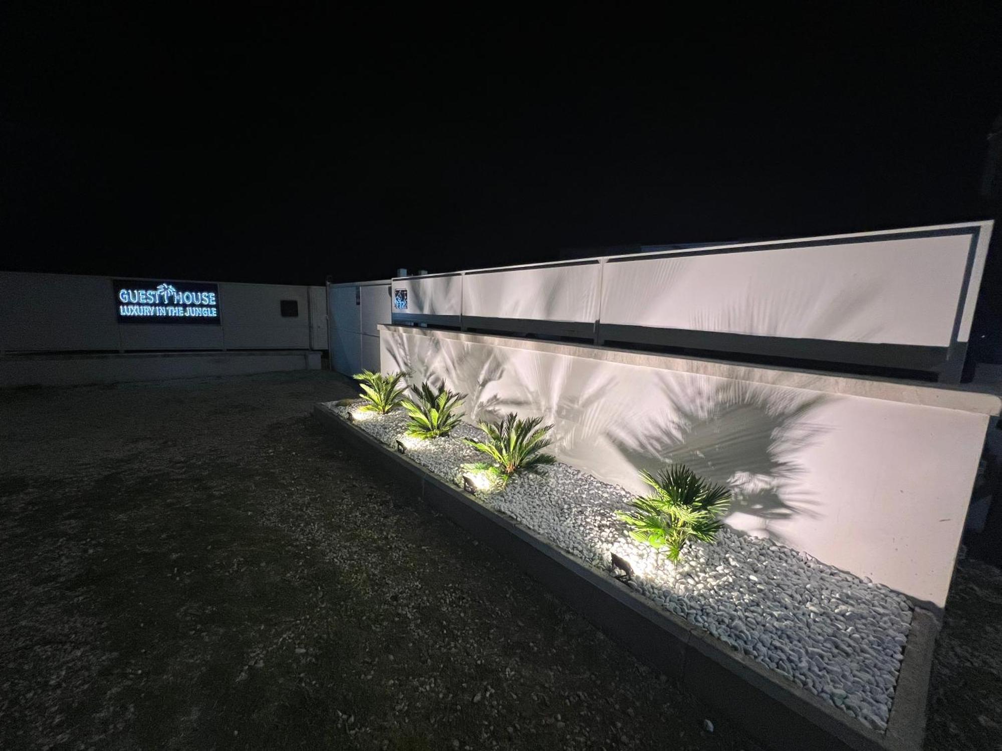 Luxury In The Jungle Villa Formello Exteriör bild